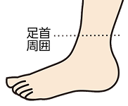 足首周囲